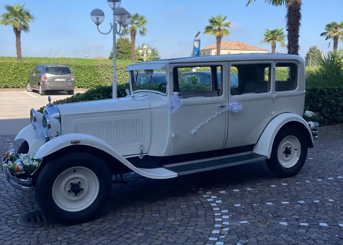 Master Альбиньясего