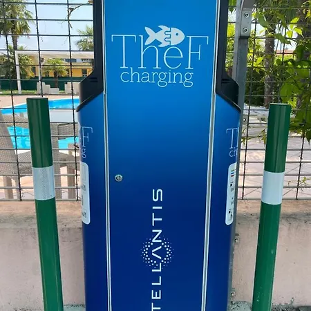 Master البينيازيغو